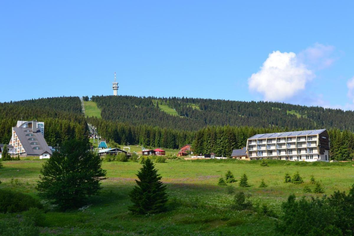 Apartman Venus S Velkou Terasou Loučná pod Klínovcem Bagian luar foto